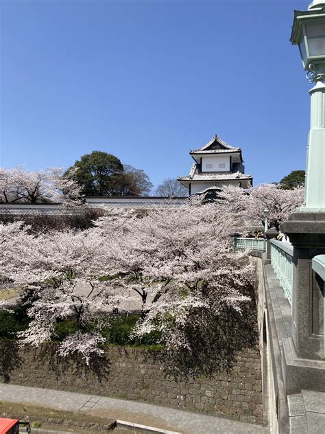 墓地 風水|お墓の近く・見える土地や家は風水的にNG？神社や。